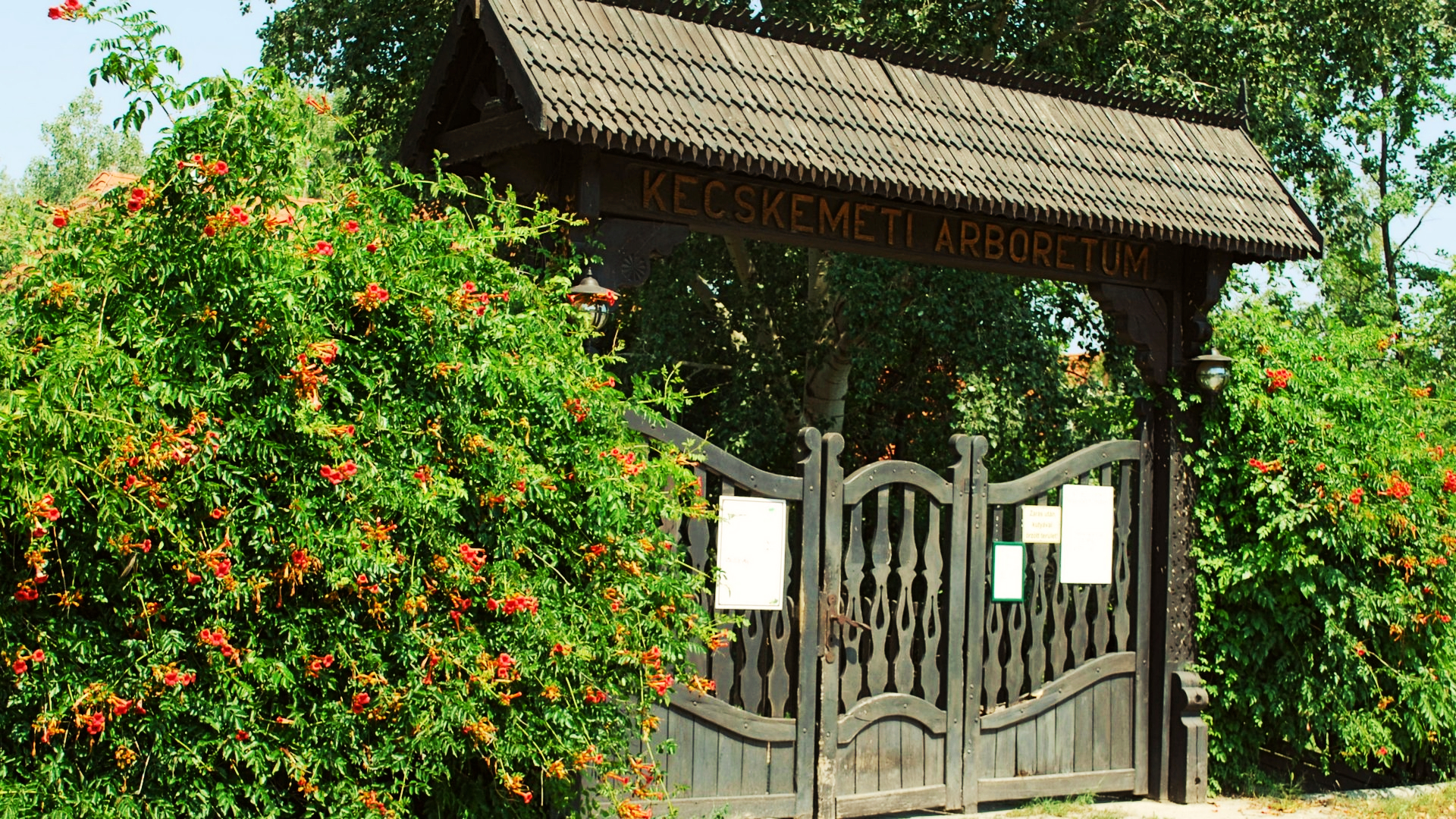 arboretum